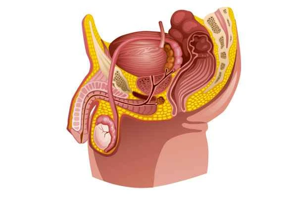 What are the symptoms of scrotal sweating?