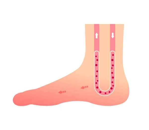 What causes cold penis and scrotum?