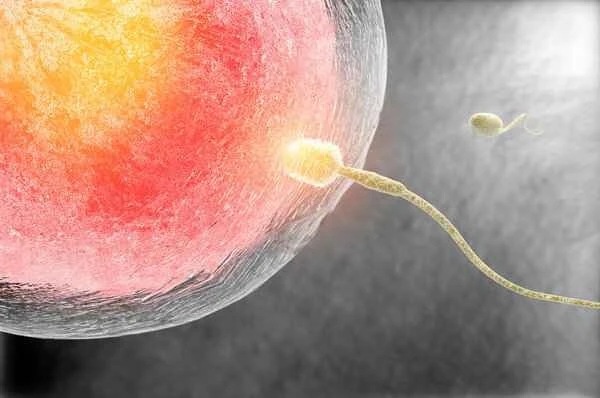 Slightly low sperm count requires treatment
