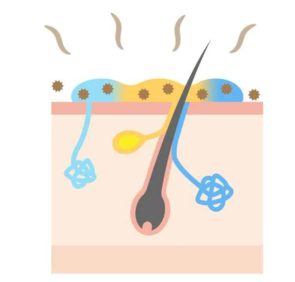 How to treat scrotal sweating?