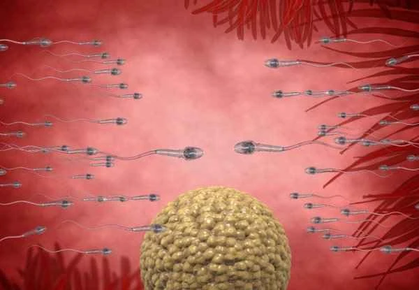 How to supplement low sperm count during ejaculation?