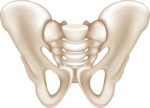 Where should the prostatitis patch be applied?