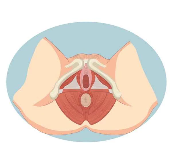 Prostatitis causes perineal pain during urination