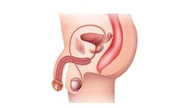 What are the five main symptoms of oligospermia?