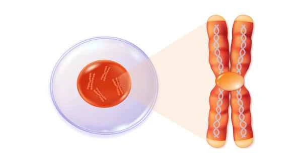 Is severe asthenospermia hereditary?