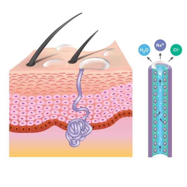What to do about scrotal dampness?