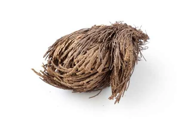 Can boiled wheat bran cure prostatitis?