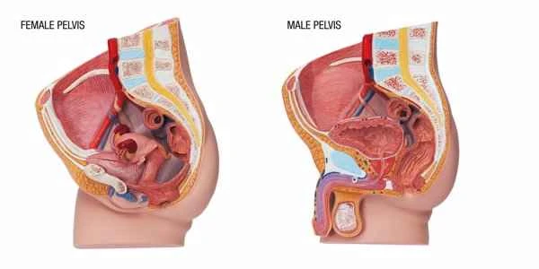 What to do about scrotal inflammation