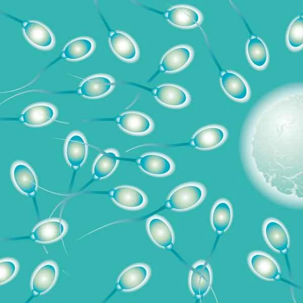 How to conceive with low sperm count and poor sperm motility?
