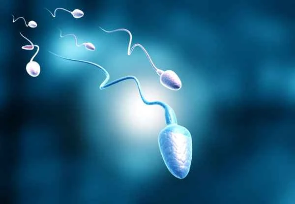 How to supplement zinc for asthenospermia?